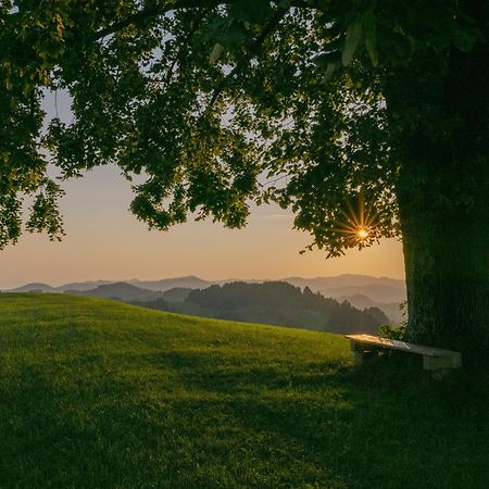 Vegan Health Hotel Sonnenberg Glutenfrei Schwellbrunn 外观 照片